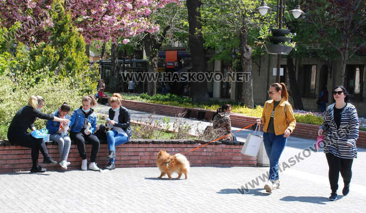 Оживление в Хасково в слънчевия и топъл четвъртък