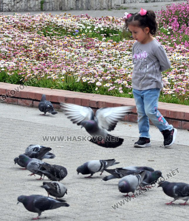 КОРЗ раздигна поседнали в хасковските паркове