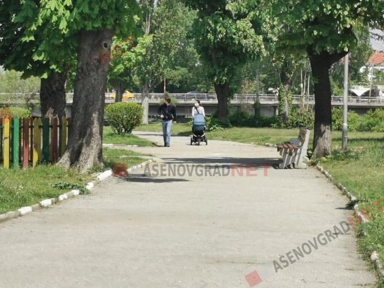 Знаци, маркировка и сигнални ленти в асеновградските паркове