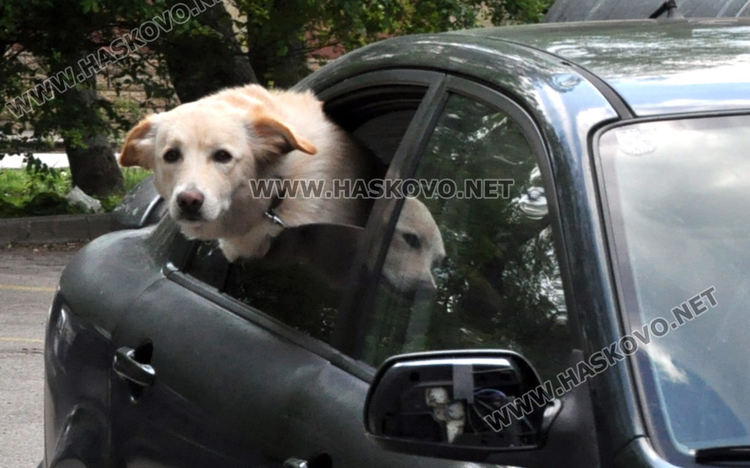 Указания за използване на парковете в Хасково и маршрути за разходка