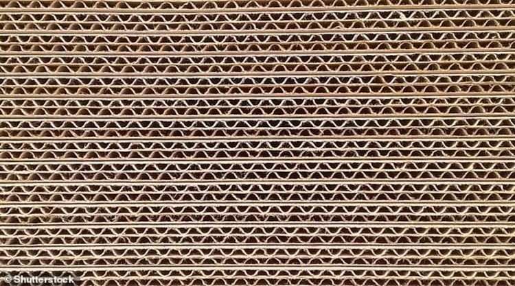 НАСА освобождава миниатюрни устройства от нанокартон в атмосферата на Марс