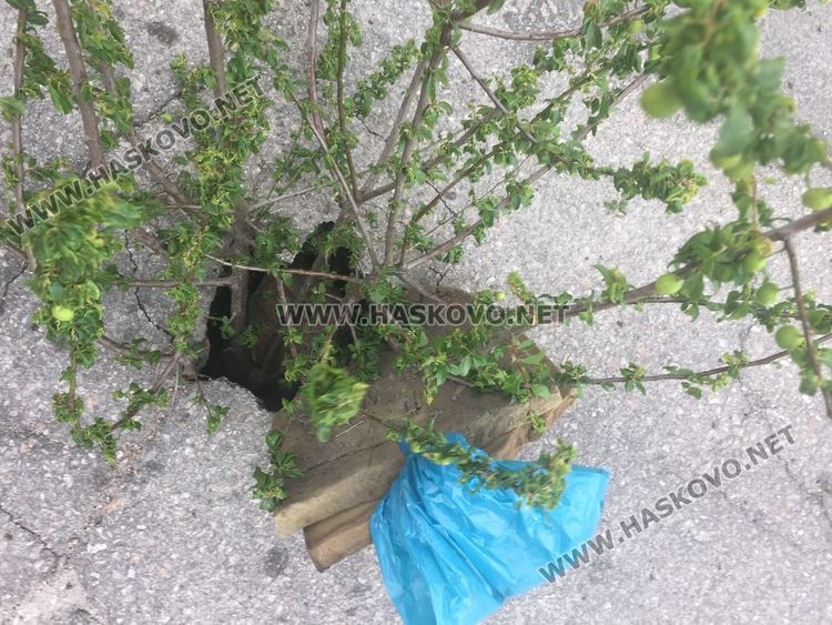 Клон в пропадане на пътя пази колите от ПТП, ВиК отстраниха проблема