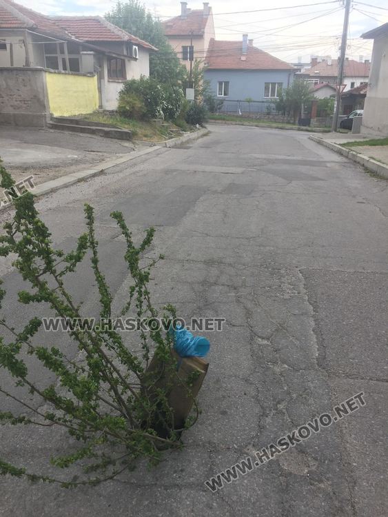 Клон в пропадане на пътя пази колите от ПТП, ВиК отстраниха проблема