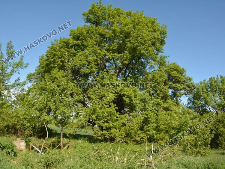 Екопътека „Цар Иван Асен II” привлича все повече туристи, искат защита на обекти