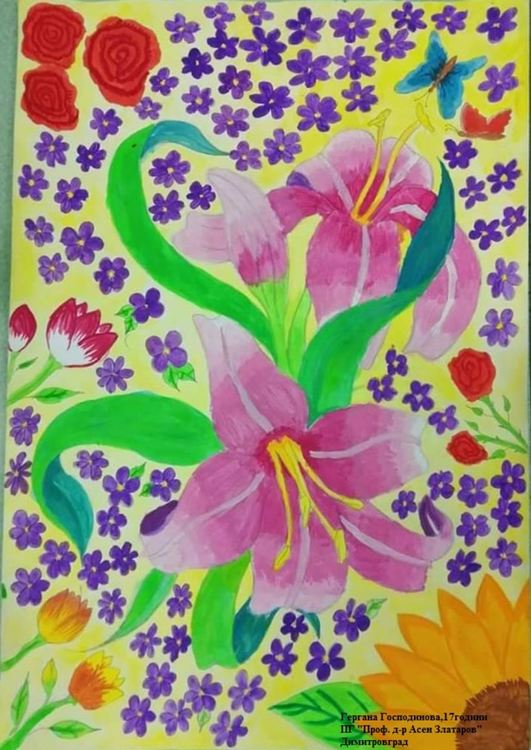 Гергана Господинова,17години