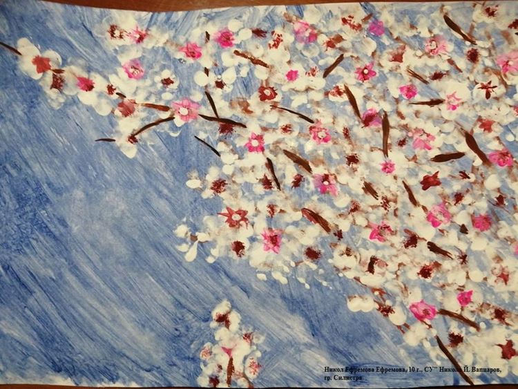 Никол Ефремова Ефремова, 10 г., СУ Никола Й. Вапцаров, гр. Силистра