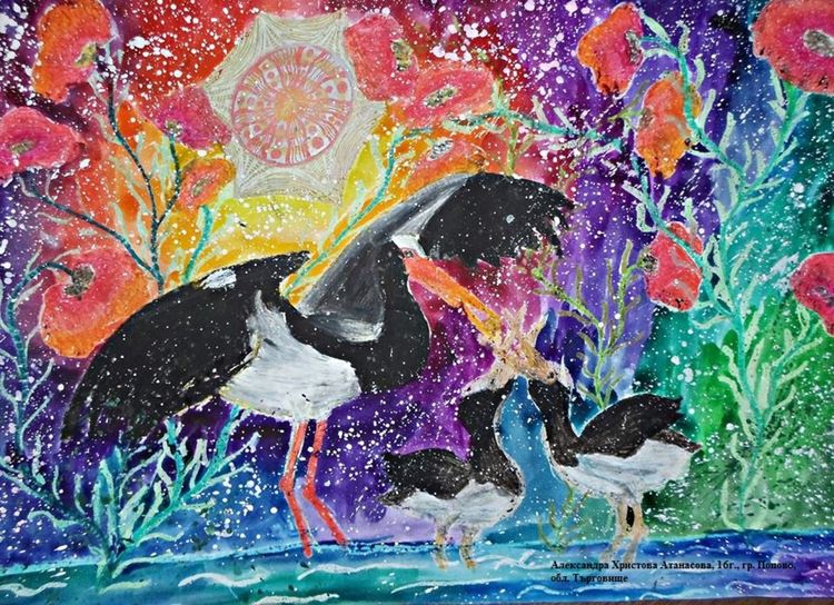 Александра Христова Атанасова, 16г., гр. Попово, обл. Търговище