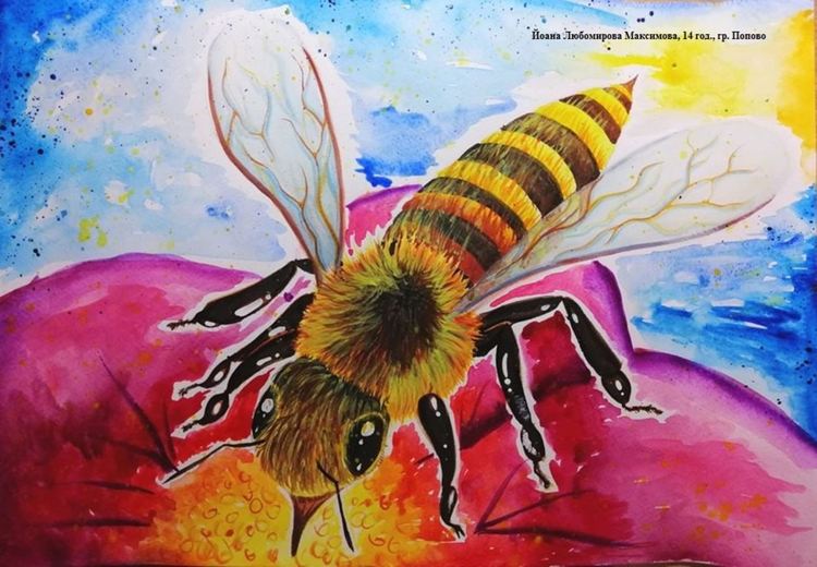 Йоана Максимова, 14 год., гр. Попово