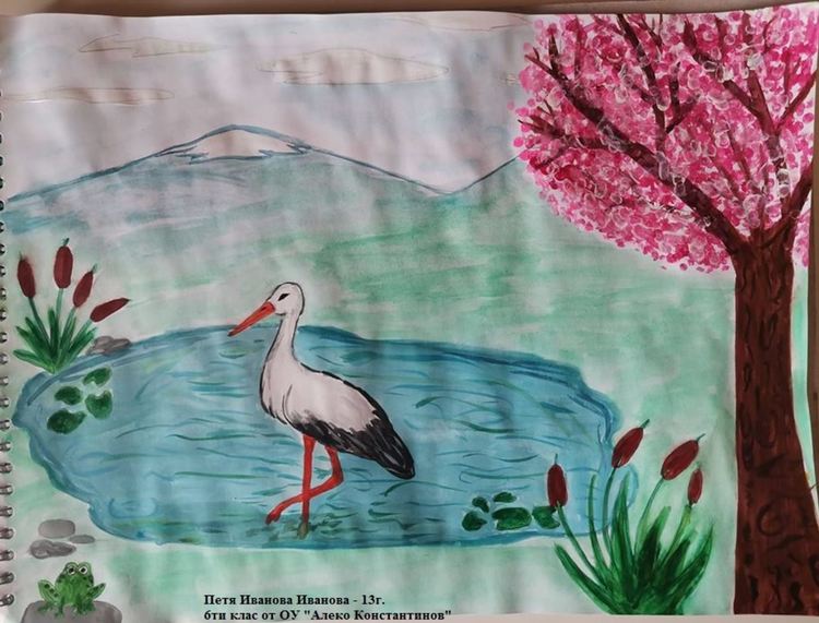 Петя Иванова Иванова - 13г.