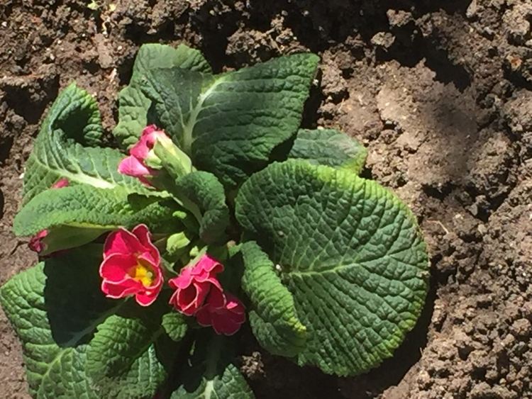 Слънчево със затопляне време днес