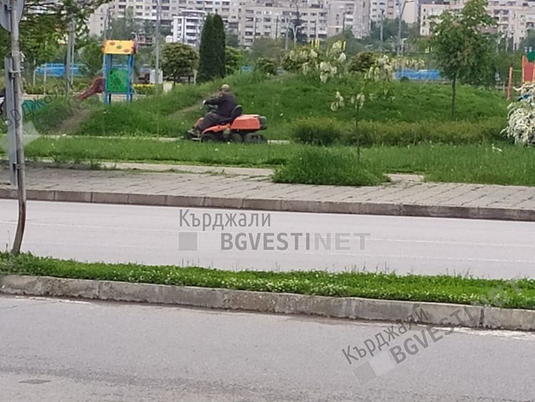 Косят тревата в парковете