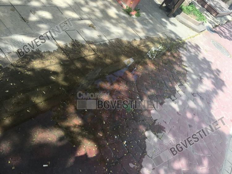 Заведения и кафенета в Смолян отварят, връщаме ли се към „нормалността“ ? /галерия снимки/