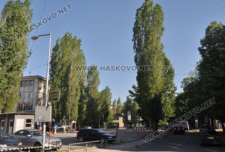 Мъхеста покривка над Хасково