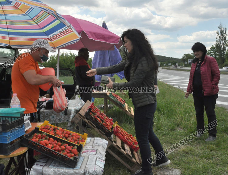 Изкараха първите български ягоди, килограмът 8 лева в Хасковско