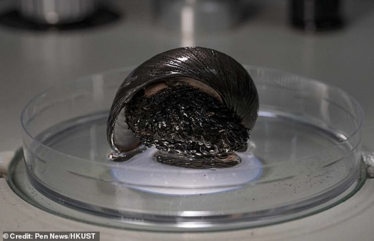 Разкриха мистерията на железния охлюв