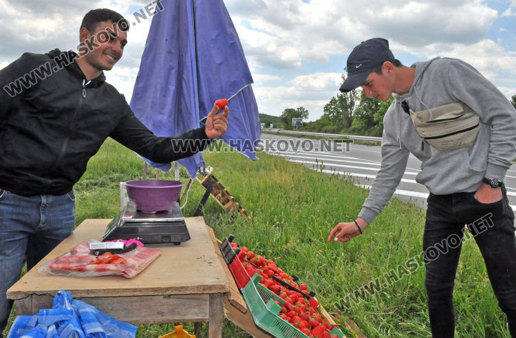 Изкараха първите български ягоди, килограмът 8 лева в Хасковско