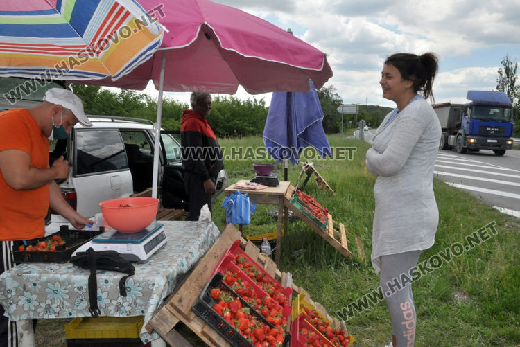 Изкараха първите български ягоди, килограмът 8 лева в Хасковско