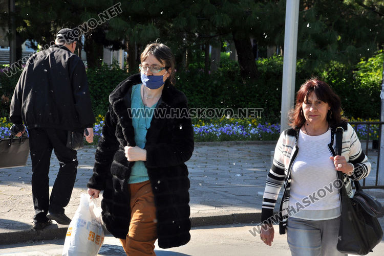 Мъхеста покривка над Хасково