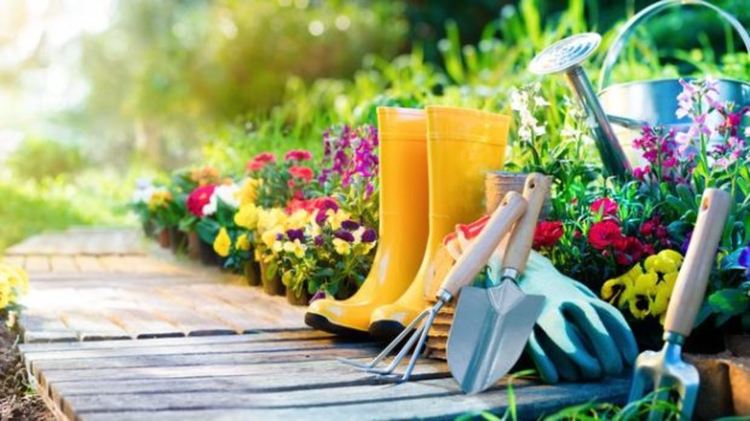 Топло и приятно време в петък