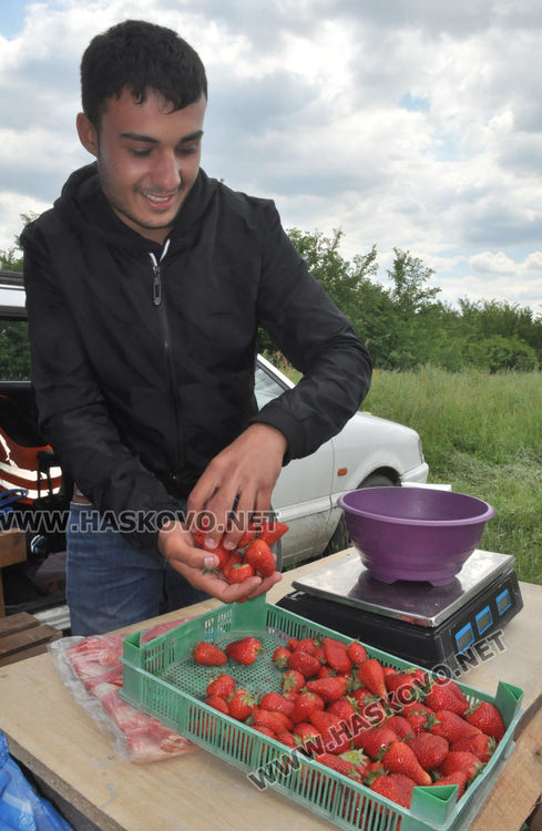 Изкараха първите български ягоди, килограмът 8 лева в Хасковско