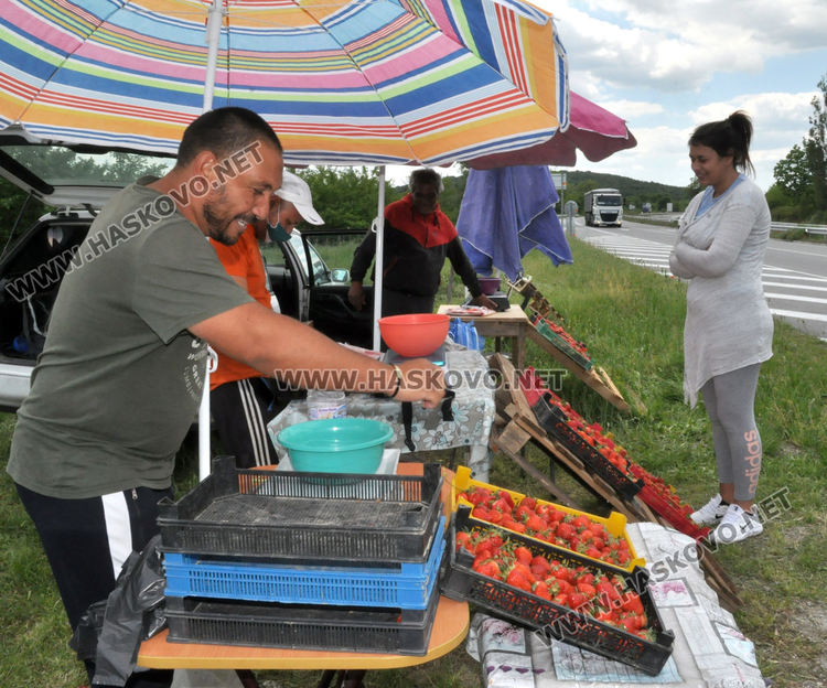 Изкараха първите български ягоди, килограмът 8 лева в Хасковско