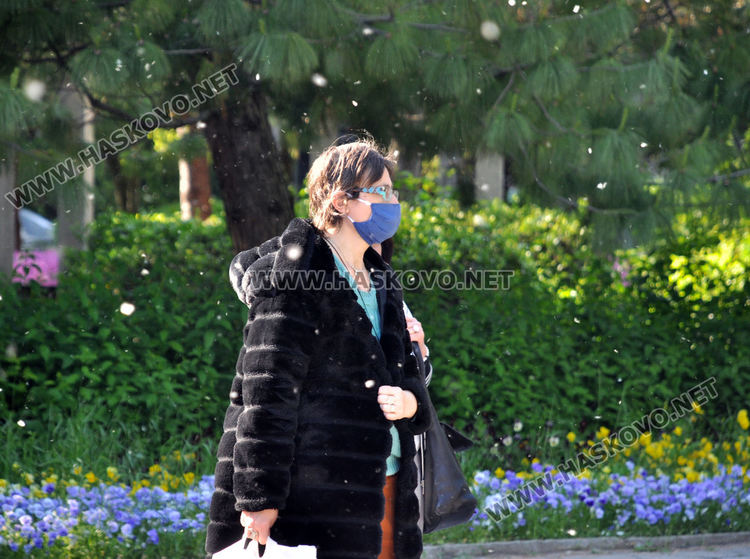 Мъхеста покривка над Хасково