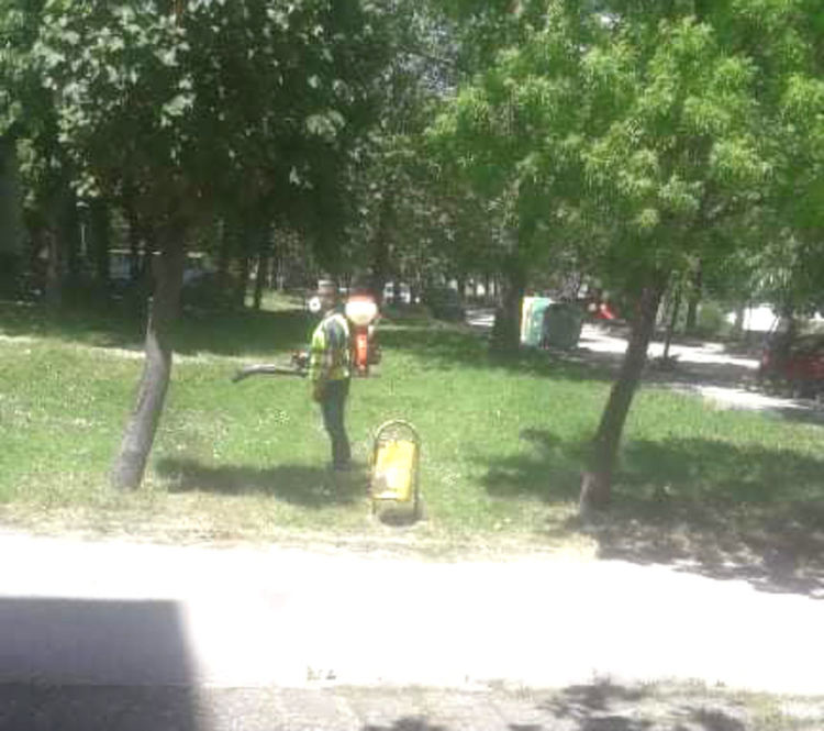 Отново пръскаха срещу кърлежи в Хасково, започва и срещу комари 