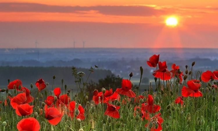 Топло начало на седмицата, но с вятър и променлива облачност 