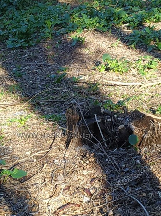 Хасковлии в потрес от строеж на Ямача, ще се строи още