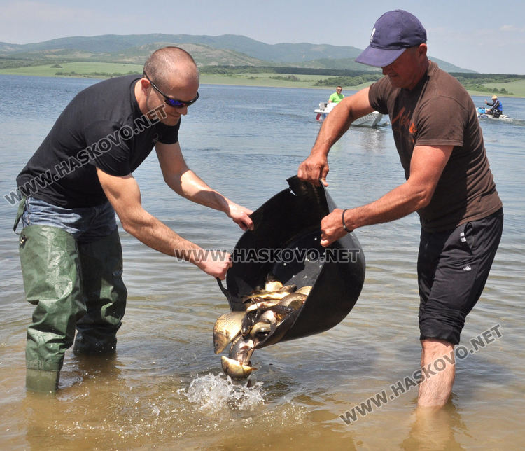 Зарибиха яз. „Тракиец“ с шаран, сом и есетра (видео)