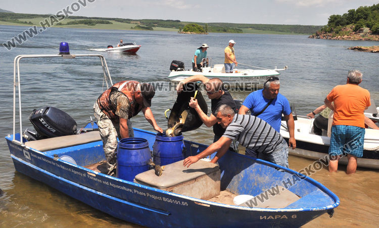 Зарибиха яз. „Тракиец“ с шаран, сом и есетра (видео)