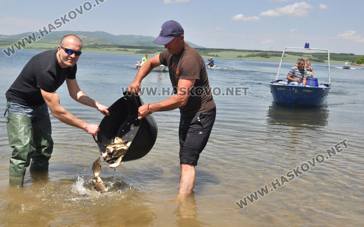 Зарибиха яз. „Тракиец“ с шаран, сом и есетра (видео)