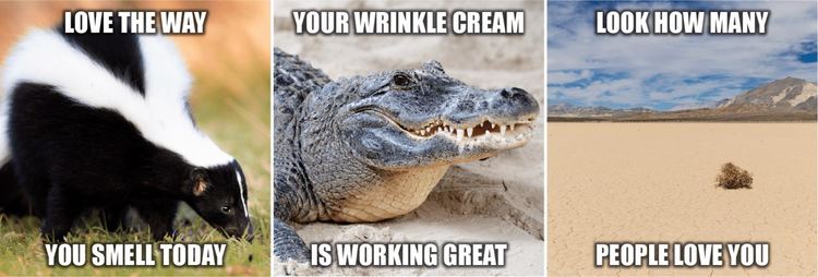  Ето и примери за обидни миймове