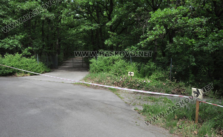 Множество деца с майки и баби посетиха зоопарка в първия работен ден