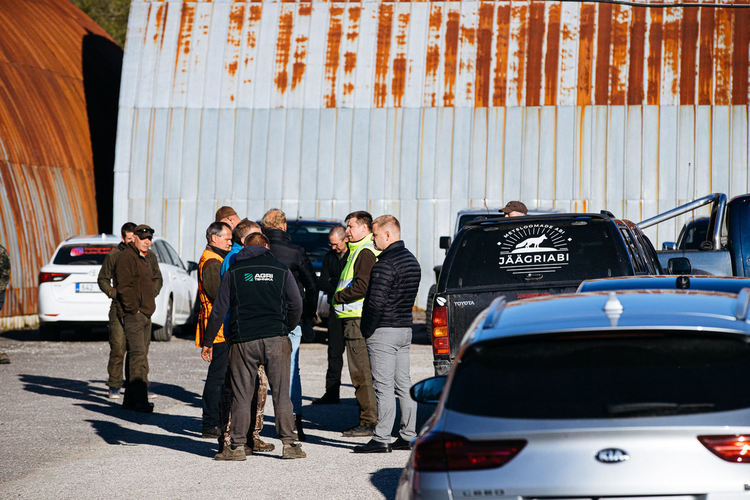 Мечка и малкото ѝ в покрайнините на Талин