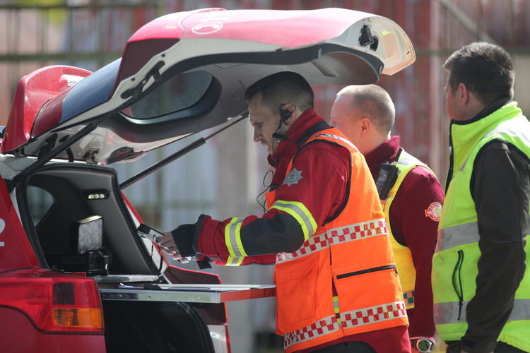 Мечка и малкото ѝ в покрайнините на Талин