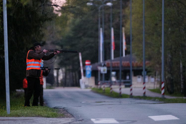 Мечка и малкото ѝ в покрайнините на Талин