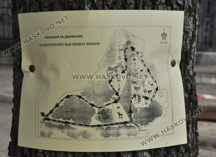 Множество деца с майки и баби посетиха зоопарка в първия работен ден