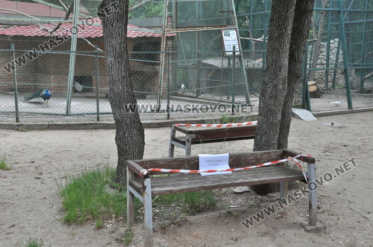 Множество деца с майки и баби посетиха зоопарка в първия работен ден