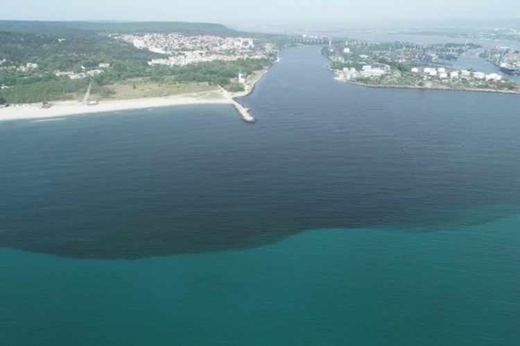 Снимка от дрон, на варненския залив (с поглед към плавателния канал и езерото). Тъмно оцветената вода е наситена с фитопланктон цъфнал заради замърсяването с фекални води. Горе в ляво е плажът на район "Аспарухово". | Снимка: Институт по океанология