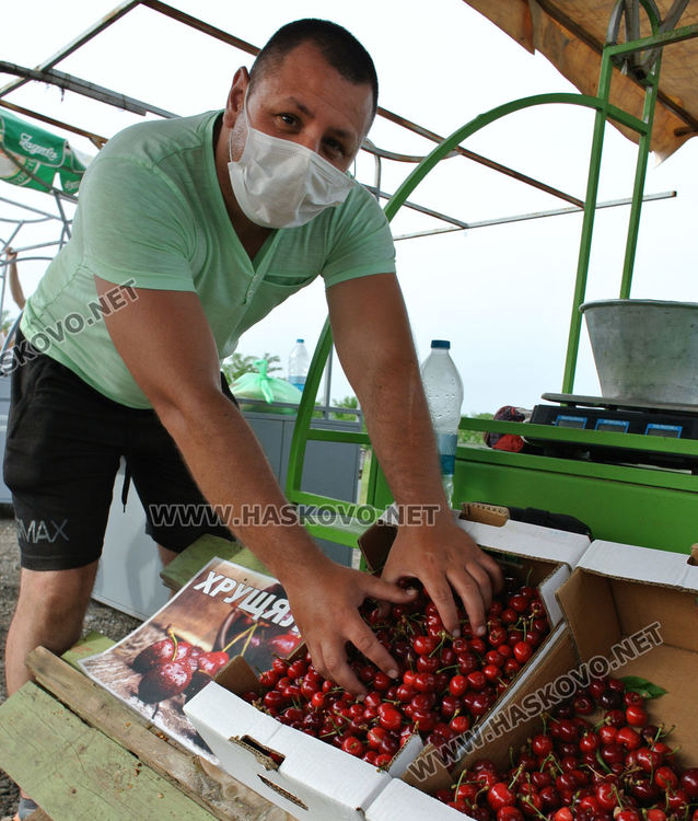 Изкараха първите череши край Крепост, килограмът 8 лева
