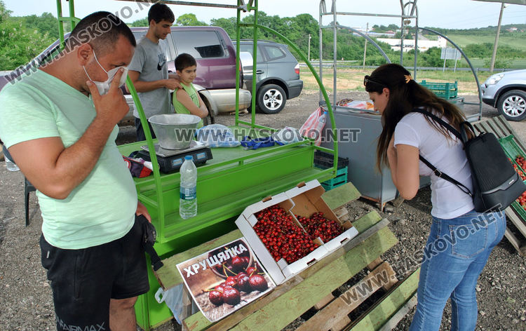 Изкараха първите череши край Крепост, килограмът 8 лева