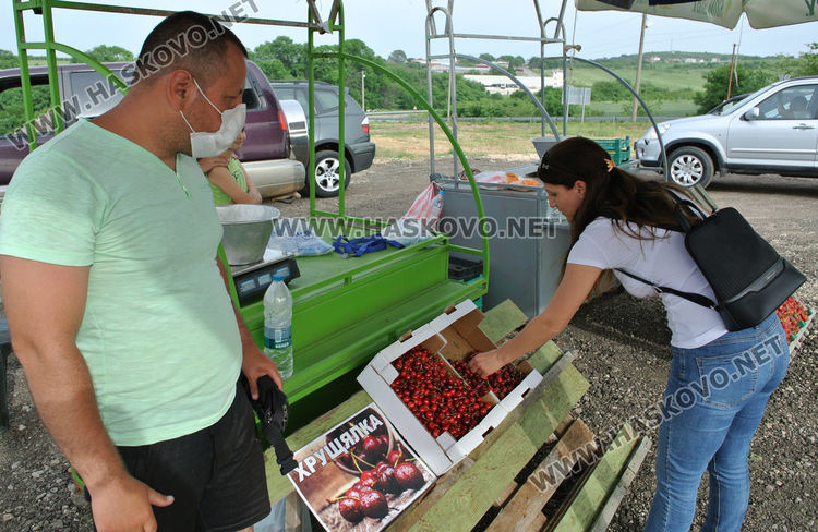 Изкараха първите череши край Крепост, килограмът 8 лева