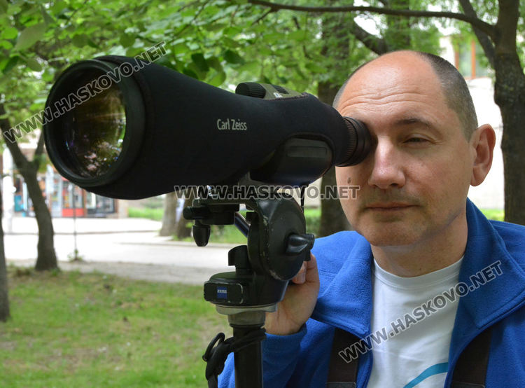 Броиха врабчетата в Хасково – засякоха полски, испански и домашни