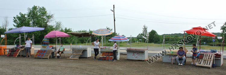 Изкараха първите череши край Крепост, килограмът 8 лева