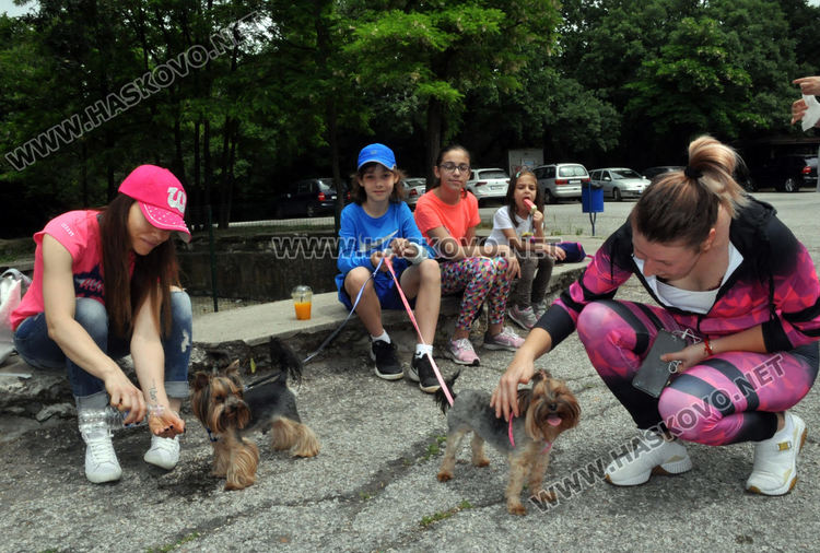 Мнозина хасковлии излязоха на разходка в топлия майски ден