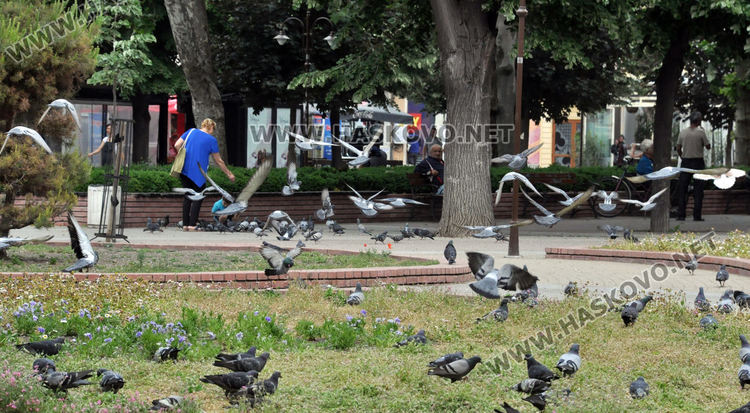 Мнозина хасковлии излязоха на разходка в топлия майски ден