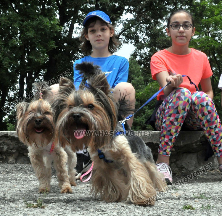 Мнозина хасковлии излязоха на разходка в топлия майски ден