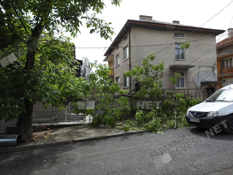 Орех се разцепи в кв. „Байкал”,  огромен клон се стовари между две къщи/снимки/