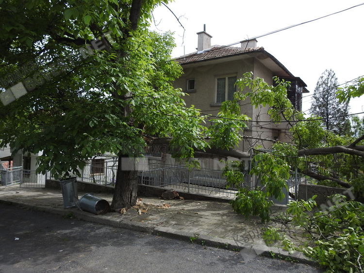 Орех се разцепи в кв. „Байкал”,  огромен клон се стовари между две къщи/снимки/